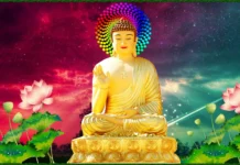 Sao gọi là yêu tiếc sinh mệnh?